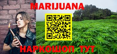 индика Моздок