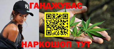 индика Моздок
