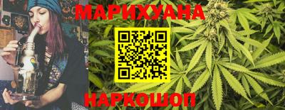 индика Моздок