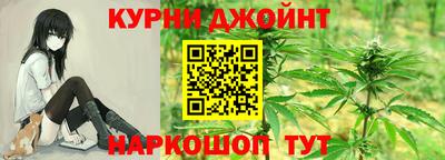индика Моздок