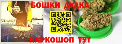 индика Моздок